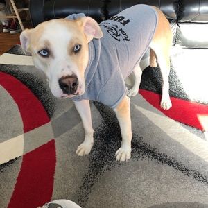 Meet your Posher, Tabitha